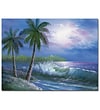 Trademark Fine Art Rio 'Moonlight in Key Largo' Canvas Art 35x47 Inches