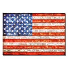 Trademark Fine Art Michelle Calkins American Flag with States Canvas Art 30x47 Inches