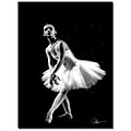 Trademark Fine Art Martha Guerra Ballerina III Canvas Art