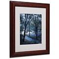Miguel Paredes Snow Flakes Matted Framed Art - 11x14 Inches - Wood Frame