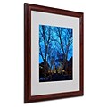 CATeyes Boston 2 Matted Framed Art - 16x20 Inches - Wood Frame