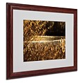 CATeyes Boston 6 Matted Framed Art - 16x20 Inches - Wood Frame