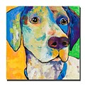 Trademark Fine Art Yancy by Colorful Attitudes-Ready to Hang Canvas! 14x14 Inches