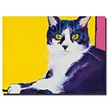 Trademark Fine Art Simon by Pat Saunders-White-canvas, Ready to Hang