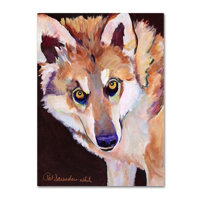 Trademark Fine Art Pat Saunders Night Eyes Canvas Art 14x19 Inches