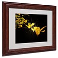Philippe Sainte-Laudy Golding Matted Framed Art - 11x14 Inches - Wood Frame