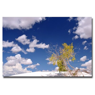 Trademark Fine Art Philippe Sainte Laudy Clouds and Loneliness Canvas Art 30x47 Inches