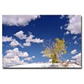 Trademark Fine Art Philippe Sainte Laudy Clouds and Loneliness Canvas Art 30x47 Inches