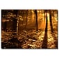 Trademark Fine Art Philippe Sainte Laudy 'Morning Light' Canvas Art 30x47 Inches