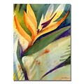 Trademark Fine Art Sheila Golden Bird of Paradise Canvas Art 24x32 Inches