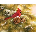 LANG® December Dawn Cardinal Boxed Christmas Card