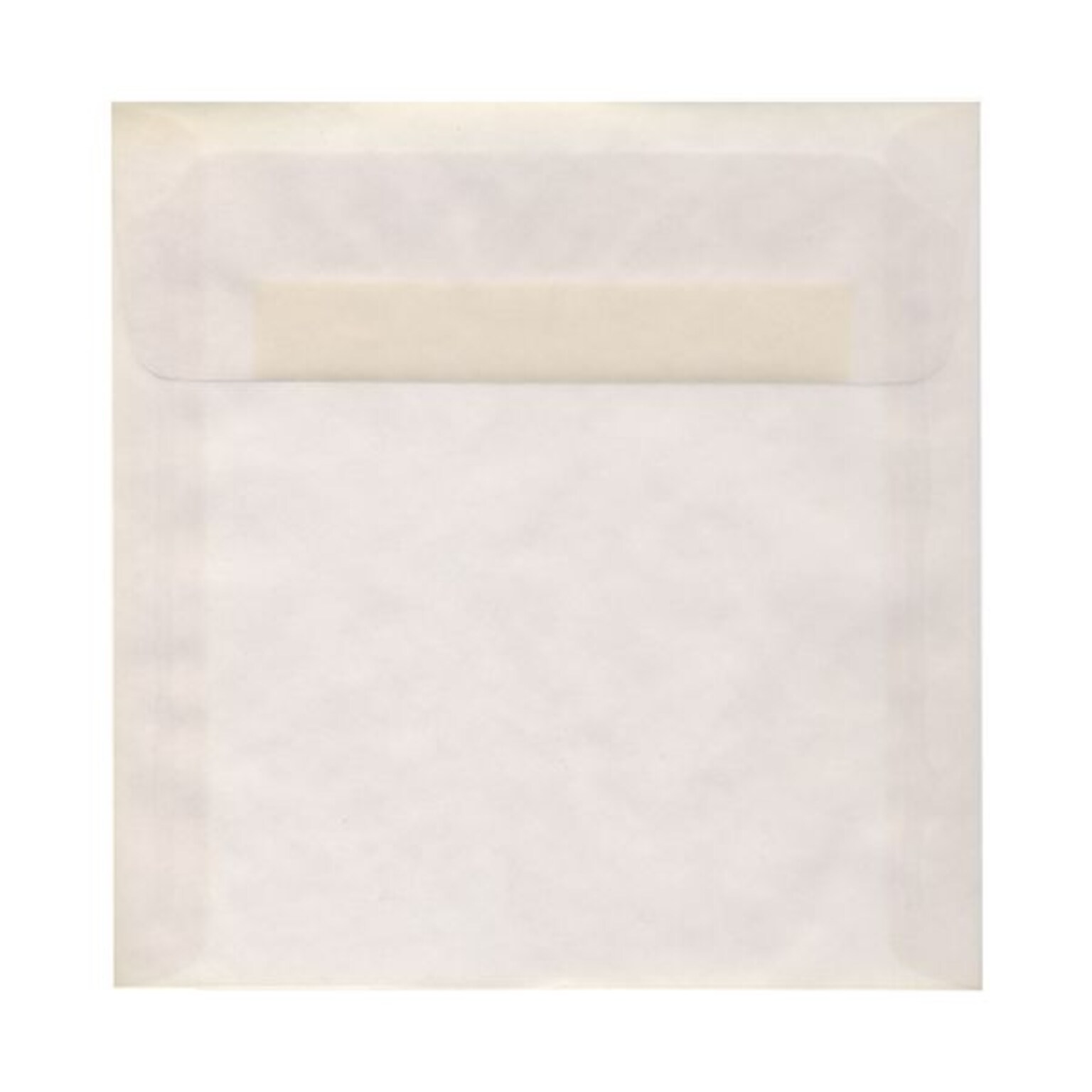 JAM Paper 9 x 9 Square Translucent Vellum Invitation Envelopes, Clear, 25/Pack (2851355)