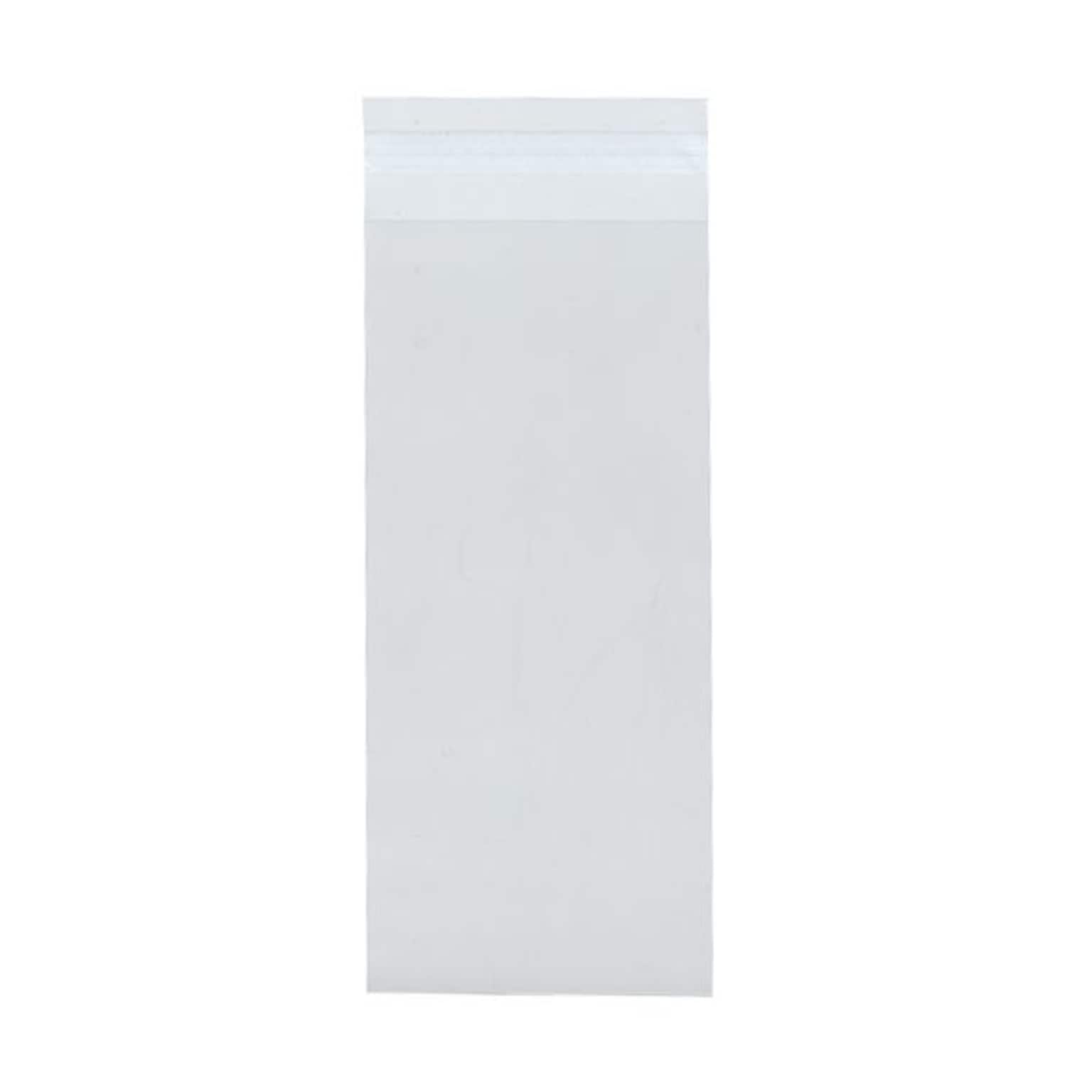 JAM Paper Cello Sleeves with Peel & Seal Closure, #10 Policy, 4.12 x 9.75, Clear, 100/Pack (NUM10CELLO)