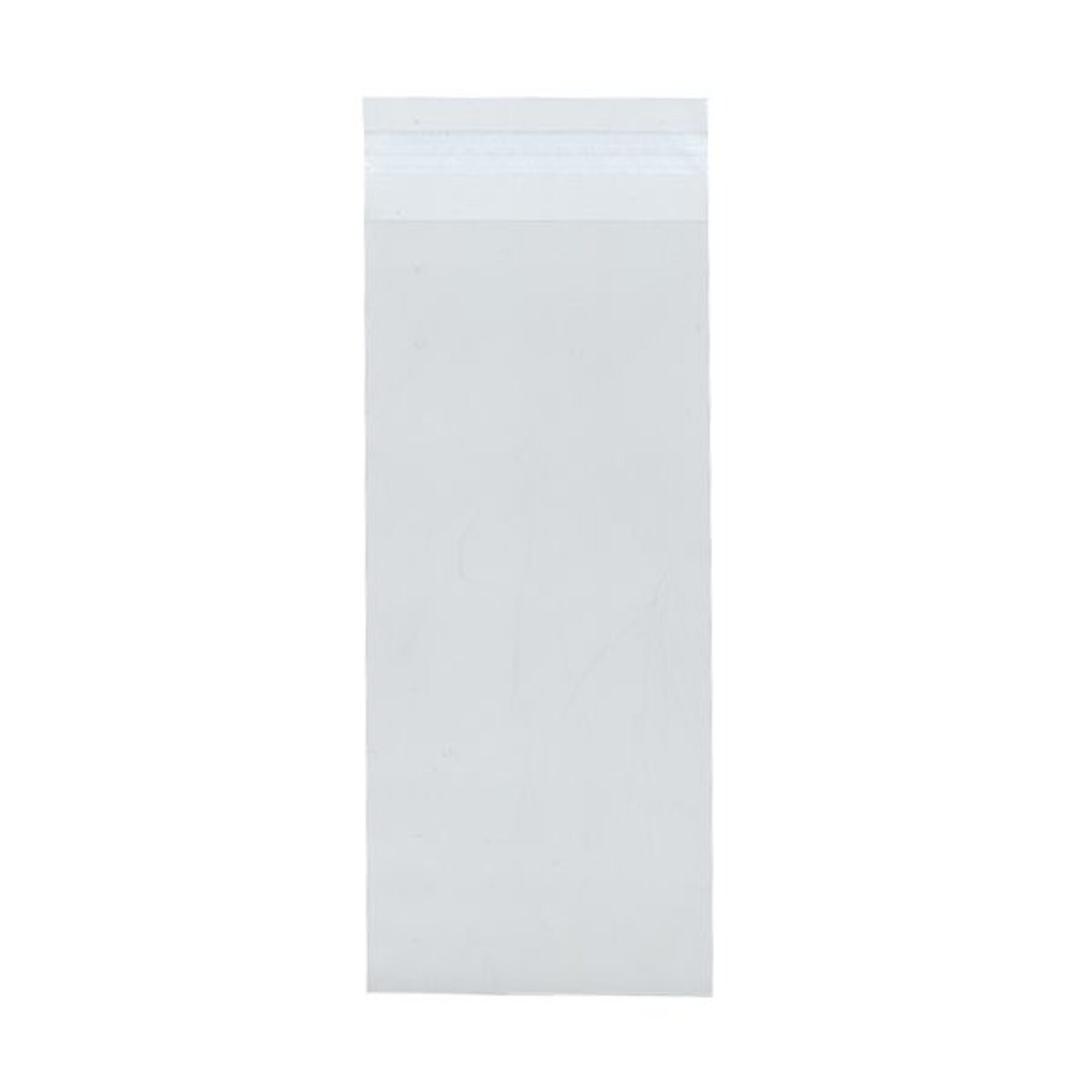 JAM Paper Cellophane Envelope with Peel & Seal Closure, #10 Policy, 4.12 x 9.75, Clear, 100/Pack (NUM10CELLO)
