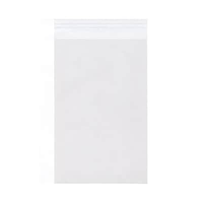 JAM Paper Cello Sleeves with Peel & Seal Closure, 16.4375 x 20.125, Clear, 1000/Carton (16.520125CEL