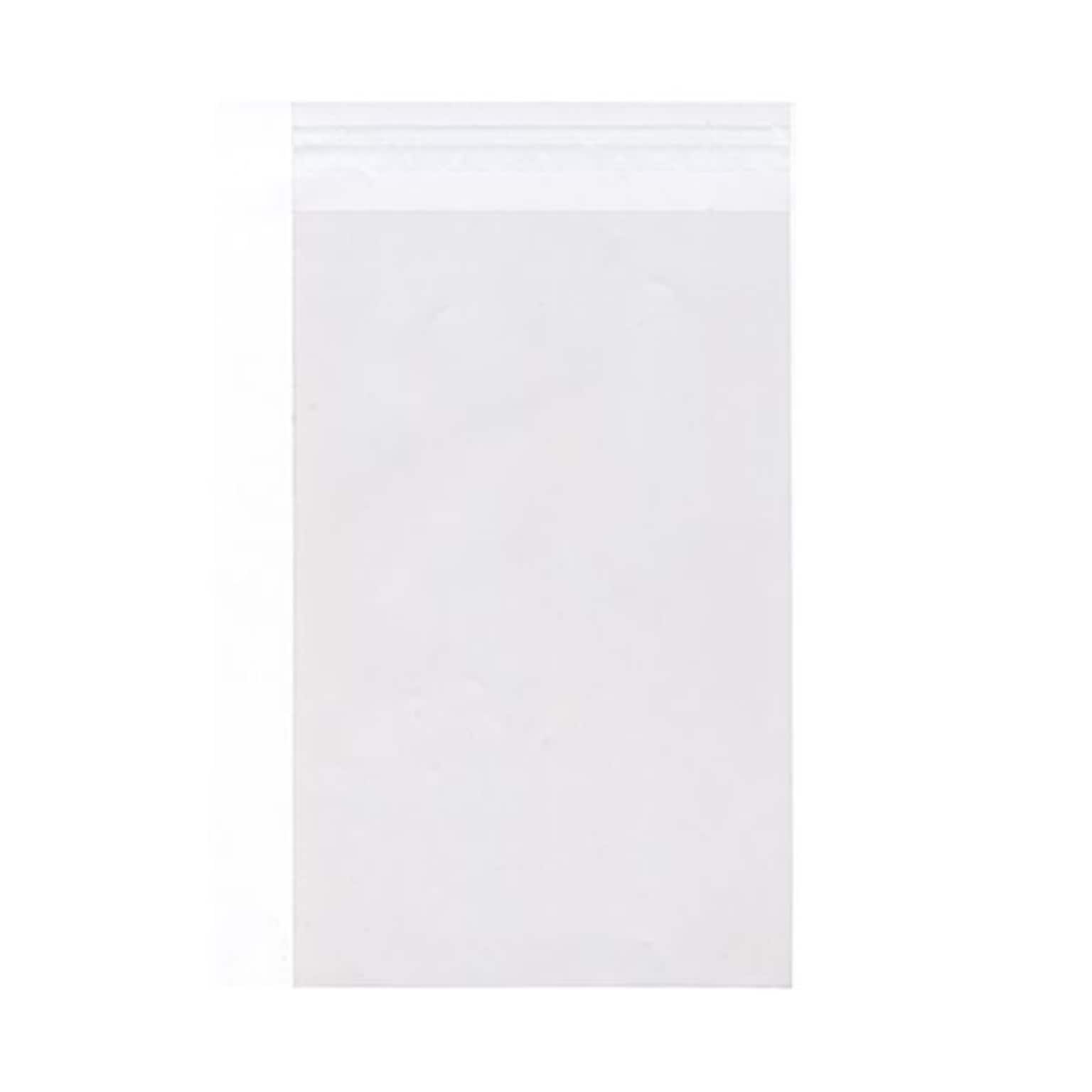 JAM Paper Cellophane Envelope with Peel & Seal Closure, 5.9375 x 8.875, Clear, 100/Pack (A9CELLO)