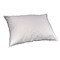 DMI® 19 x 27 Allergy-Control Bed Pillow, White
