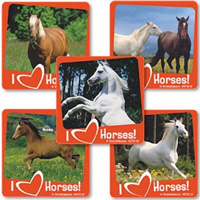 SmileMakers® Real Horses Stickers, 2-1/2”H x 2-1/2”W, 100/Roll