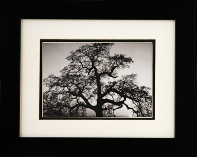 Diamond Decor Ansel Adams "Oak Tree Sunset" Framed Print Art, 10" x 12"