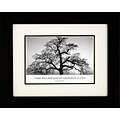 Diamond Decor Oak Tree, Sunrise Framed Print Art, 10 x 12