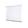 Draper® 209003 118.8 Star Manual Wall and Ceiling Projection Screen; 1:1, White Casing