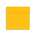 LUX 5 1/2 x 5 1/2 Square Envelopes 500/Box) 500/Box, Sunflower (EX8515-12-500)