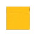 LUX 6 1/2 x 6 1/2 Square Envelopes 500/Box) 500/Box, Sunflower (EX8535-12-500)