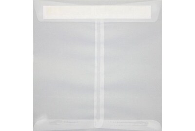 LUX 8 x 8 Square Envelopes 1000/Box) 1000/Box, Clear Translucent (8565-50-1000)