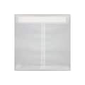 LUX 8 x 8 Square Envelopes 500/Box) 500/Box, Clear Translucent (8565-50-500)