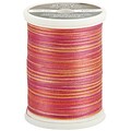 Sulky Blendables Thread 30 Weight, Tropical, 500 Yards