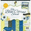 Diecuts With A View® Blue Citrus Paper Stack, 12 x 12, 48/Pack