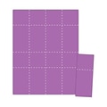 Blanks/USA® 2 1/8 x 5 1/2 Digital Cover Event Ticket, Purple, 400/Pack