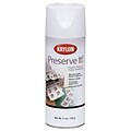 Krylon® Preserve-It Digital Photo & Paper Protectant Aerosol Spray, Clear Gloss