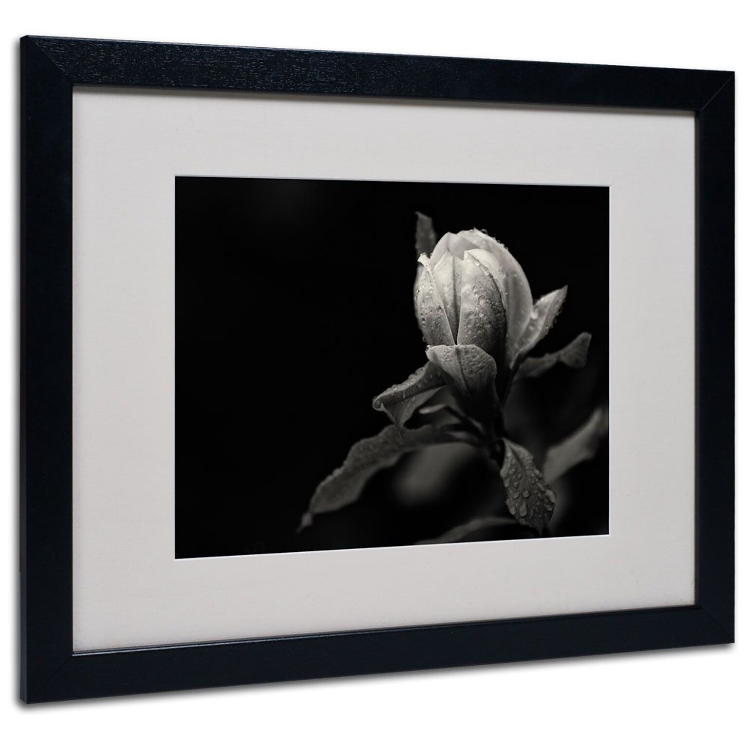 Trademark Fine Art Everything 16 x 20 Black Frame Art