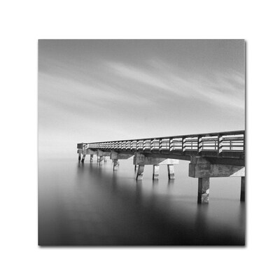 Trademark Fine Art Infinity Panorama I 14 x 14 Canvas Art
