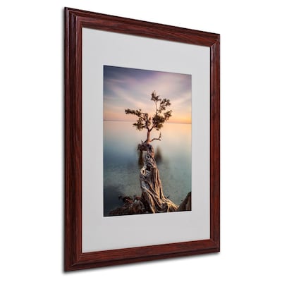 Trademark Fine Art Water Tree III 16 x 20 Wood Frame Art