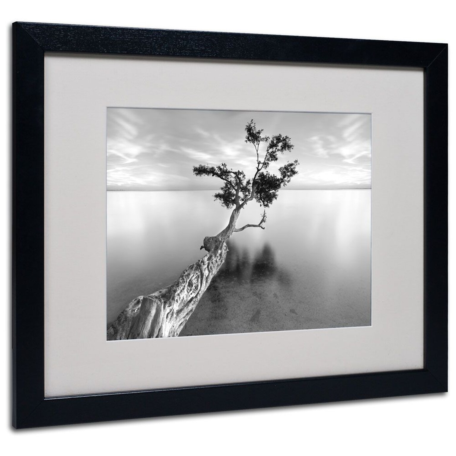 Trademark Fine Art Water Tree XIII 16 x 20 Black Frame Art