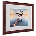 Trademark Fine Art Water Tree XIV 16 x 20 Wood Frame Art
