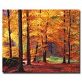 Trademark Fine Art Autumn Serenity 26 x 32 Canvas Art