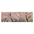 Trademark Fine Art Spring Time Impressions 12 x 32 Canvas Art