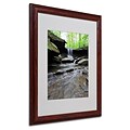 Trademark Fine Art Blue Hen Falls in Spring 16 x 20 Wood Frame Art