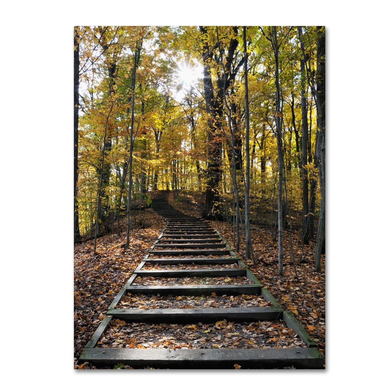 Trademark Fine Art Fall Stairway 2 22 x 32 Canvas Art