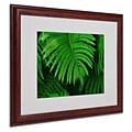 Trademark Fine Art Healing Ferns 16 x 20 Wood Frame Art