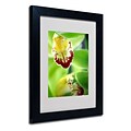 Trademark Fine Art Cymbidium Seafoam Emerald Orchid 11 x 14 Black Frame Art
