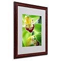 Trademark Fine Art Cymbidium Seafoam Emerald Orchid 16 x 20 Wood Frame Art