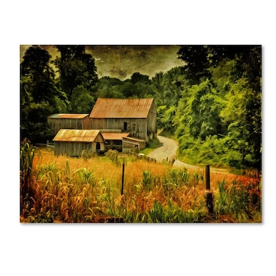 Trademark Fine Art Country Road In Summer 22 x 32 Canvas Art