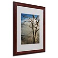 Trademark Fine Art Tree In Winter 16 x 20 Wood Frame Art