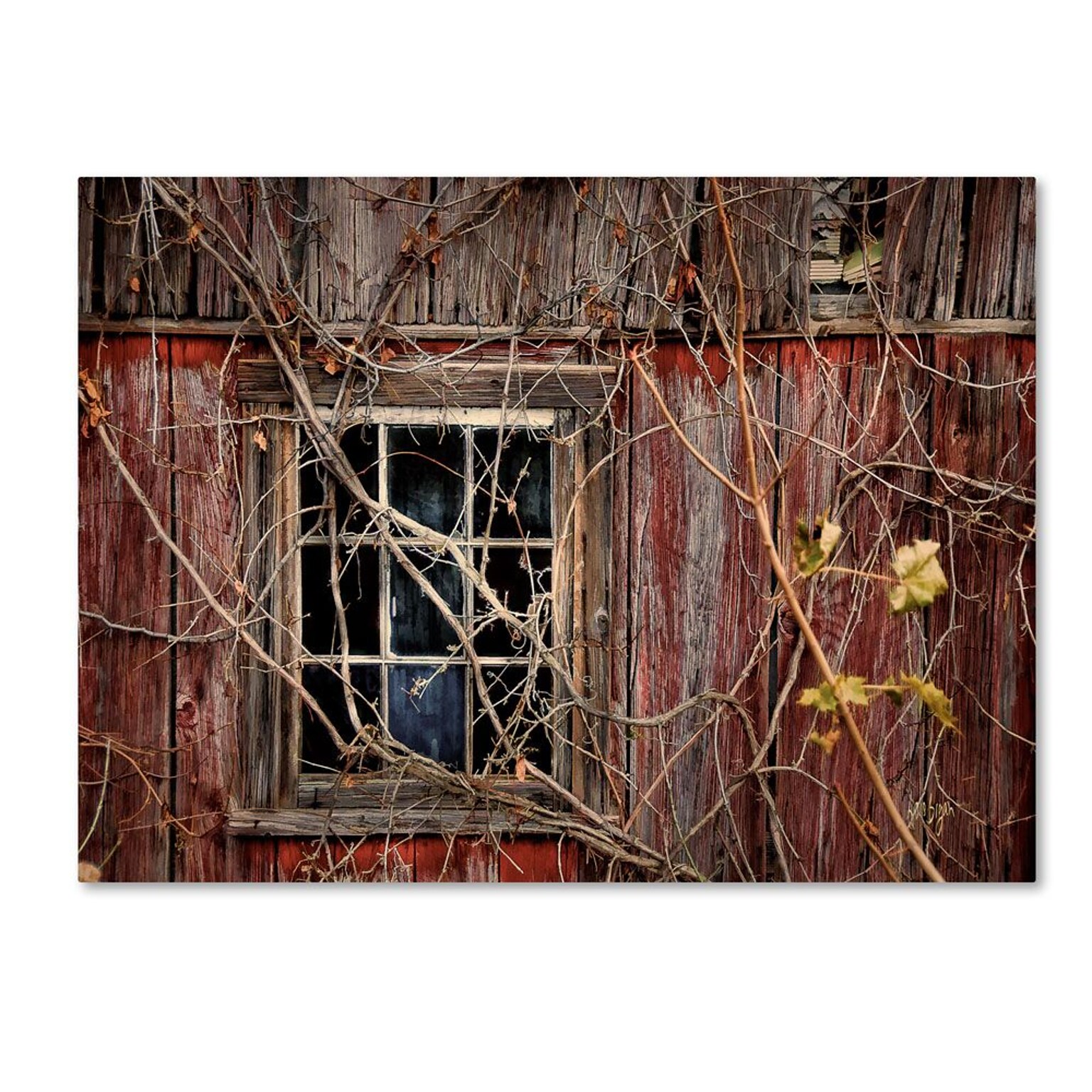 Trademark Fine Art Old Barn Window 16 x 24 Canvas Art