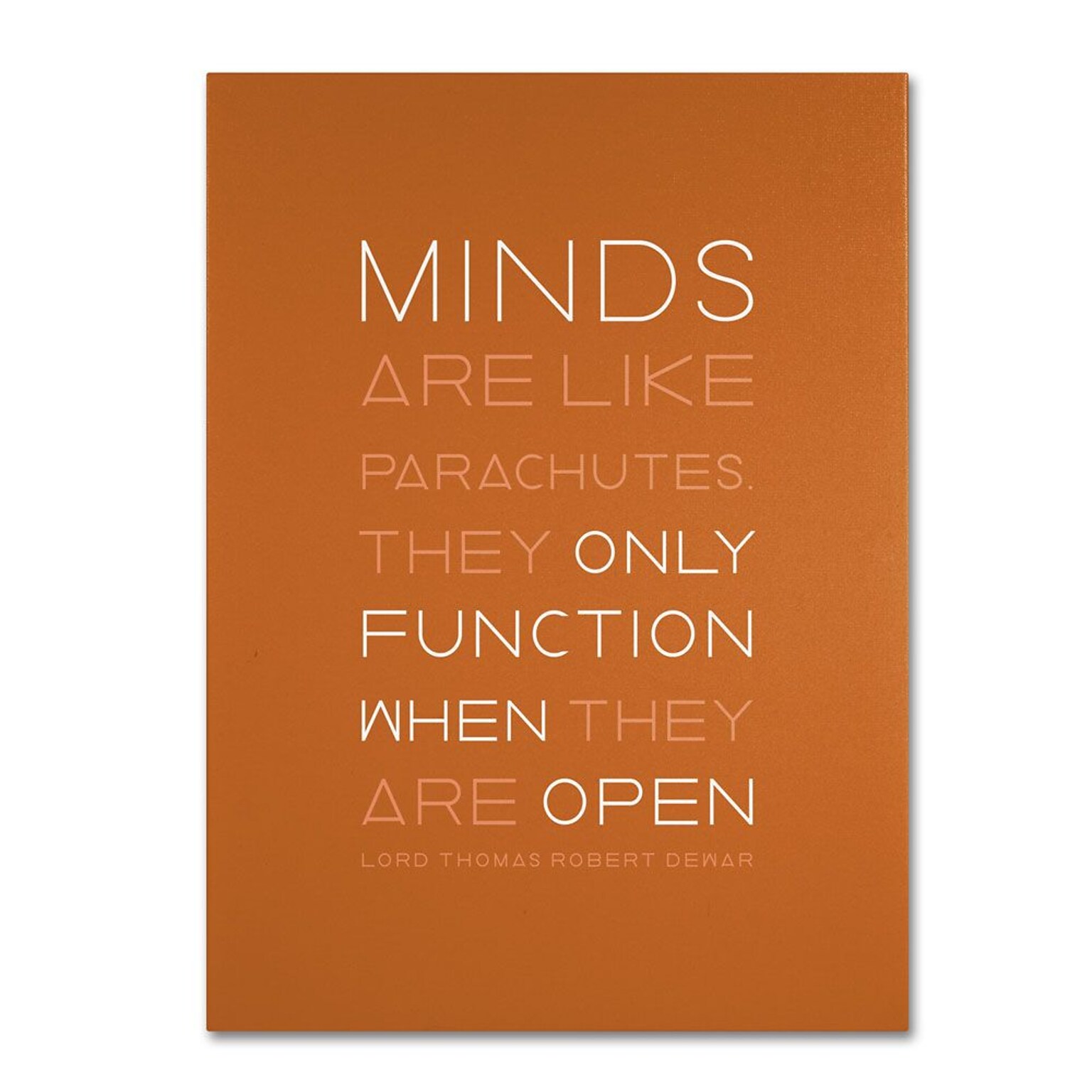 Trademark Fine Art An Open Mind II 14 x 19 Canvas Art