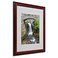 Trademark Fine Art Christine Falls Rainier 16 x 20 Wood Frame Art